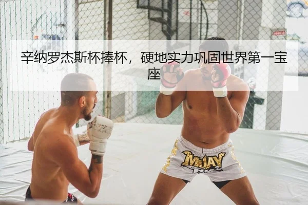 辛纳罗杰斯杯捧杯，硬地实力巩固世界第一宝座
